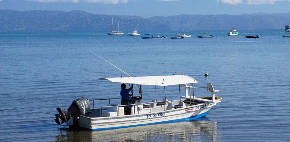 Puerto Jiménez Cabinas Jimenez מראה חיצוני תמונה